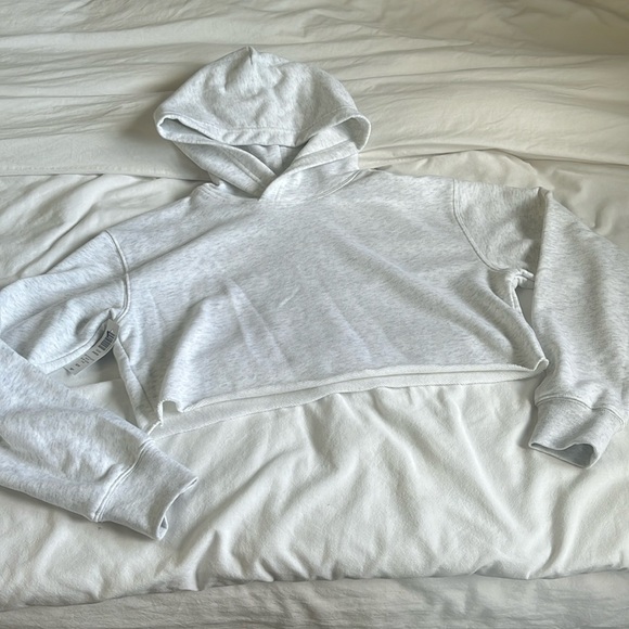 TNA SZ XS ARITZIA HEATHER CLOUD WHITE JANSON CROPPED HOODIE - Picture 1 of 5